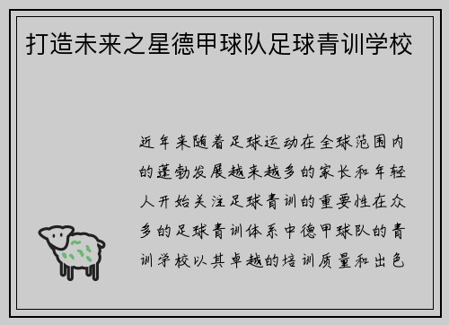 打造未来之星德甲球队足球青训学校